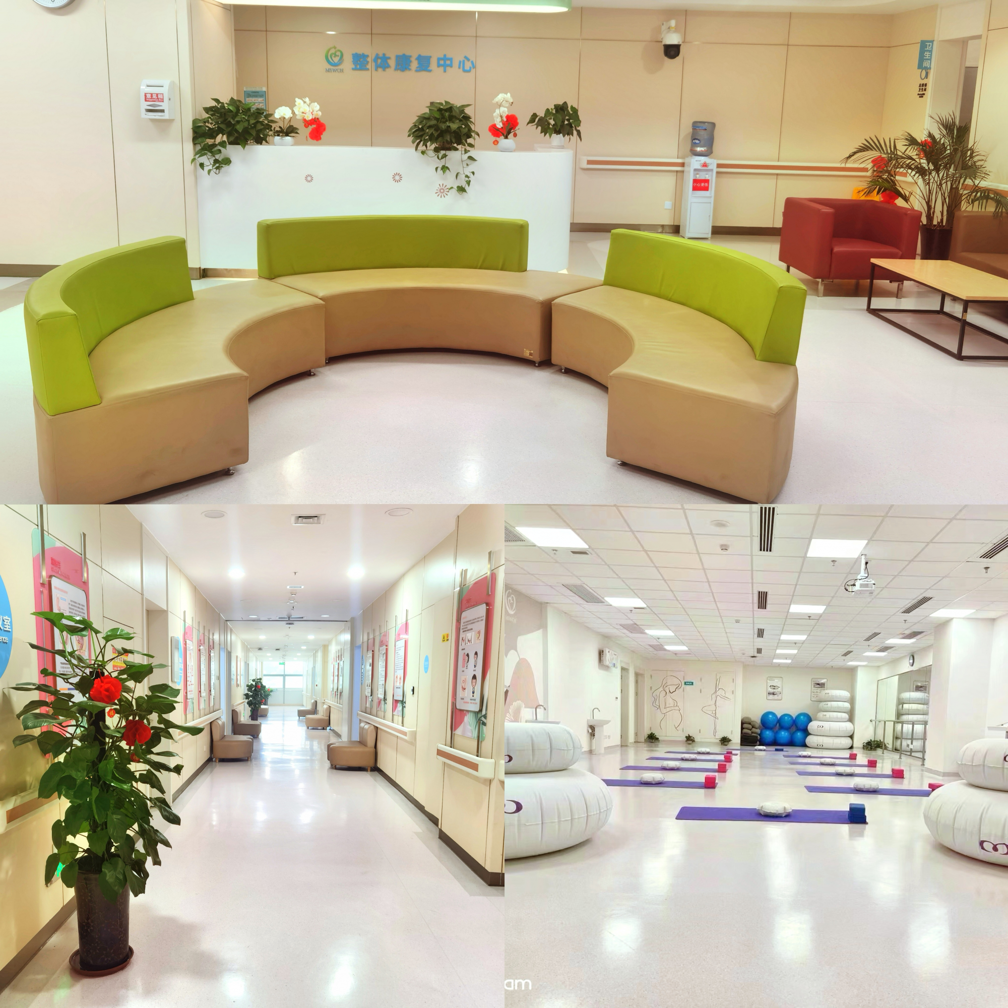 图片6